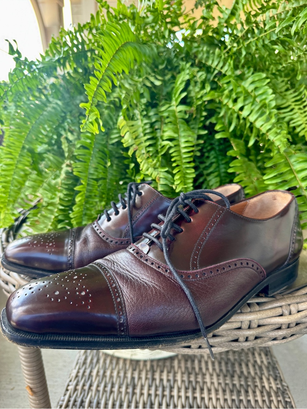 Men's Mezlan Tyson II Cap-Toe Oxford Dress Shoes in Burgundy